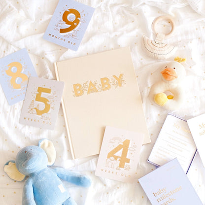 Baby Milestone Cards - Powder Blue